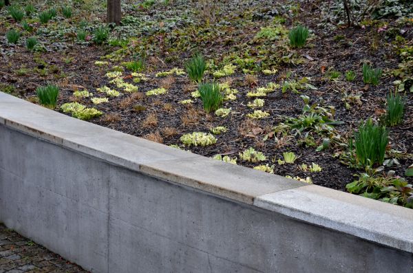 Concrete Wall Construction in West Chester